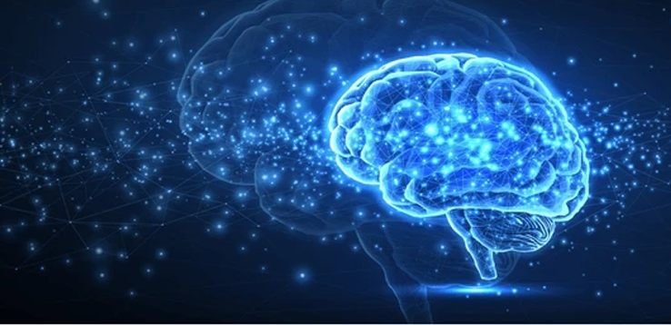 Neurology Department